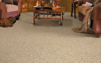 Carpet Floor