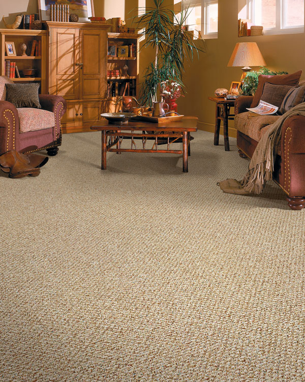 Factors to Assess before Buying Carpets Super Choice Carpet & Hardwood