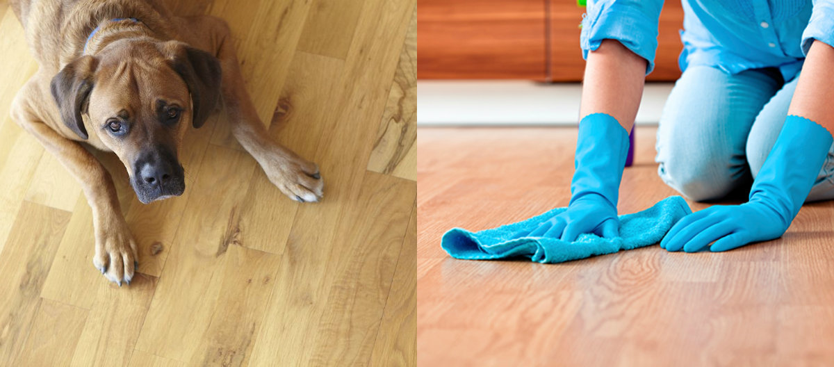 How to Protect Wood Floors When You Have Kids and Pets?