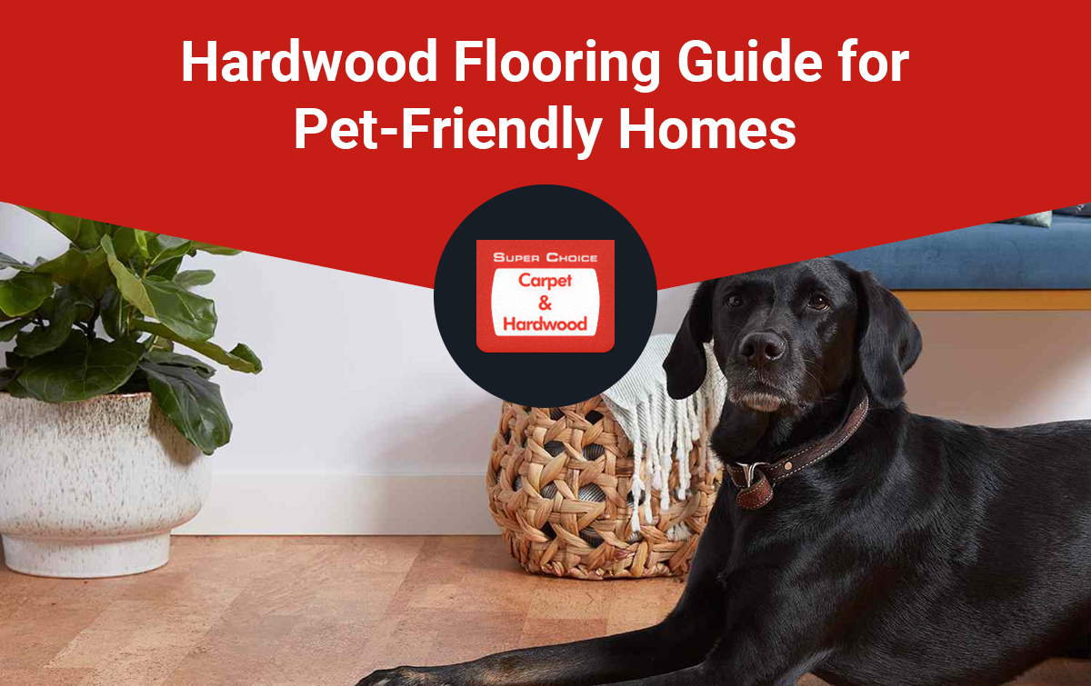 Hardwood Flooring Guide for Pet-Friendly Homes
